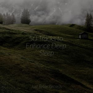 50 Tracks to Enhance Deep Sleep - Lullabyes