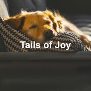 Tails of Joy - Dog Music Library