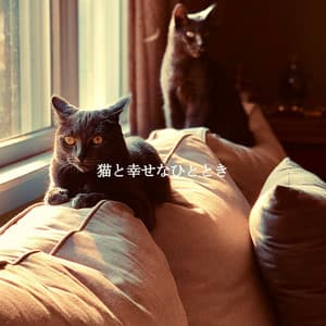 猫と幸せなひととき - Música para Descansar