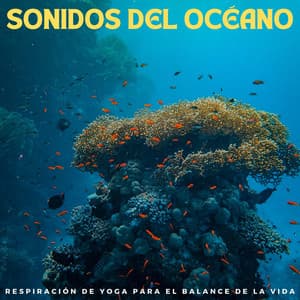 Sonidos Del Océano: Respiración De Yoga Para El Balance De La Vida - Relajacion Sonidos Del Mar y Oceano