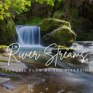 Tranquil River Streams: Waterside Relaxation - In The River (Sound FX)