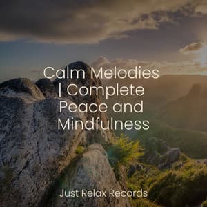 Calm Melodies | Complete Peace and Mindfulness - Alpha Waves