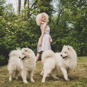 Music for Anxious Dogs - Music For Your Dog