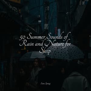 50 Summer Sounds of Rain and Nature for Sleep - Meditação Yoga