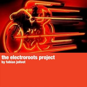 The Electroroots Project - Fabian Jolivet