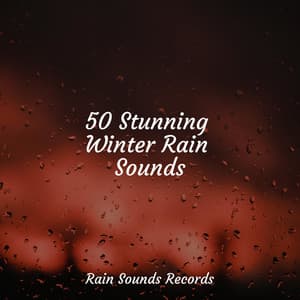 50 Stunning Winter Rain Sounds - Yoga Sounds