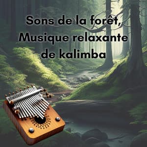 Sons de la forêt, Musique relaxante de kalimba - New Age Musique Zen
