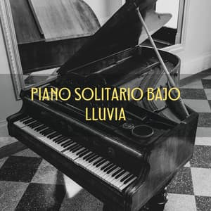 Piano Solitario Bajo Lluvia - Piano de una audiencia