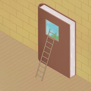 Book Cover Lofi - Lofi Bird