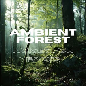 Ambient Forest Noises for Focus - FX Forest Sounds