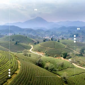 Echoes of Busy Weekdays - Paris Cafe Jazz
