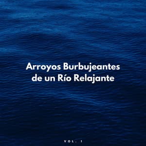Arroyos Burbujeantes De Un Río Relajante Vol. 1 - Canal de la Naturaleza sin Interrupción