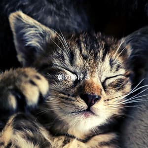 朝の静けさ - Chill Jazz Playlist