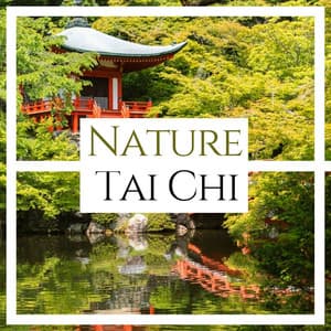 Nature Tai Chi: Music for Elderly Tai Chi Practice in the Park - Ayurveda Ledonne