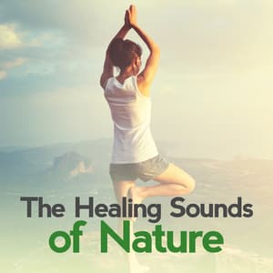 The Healing Sounds of Nature - The Healing Sounds of Nature