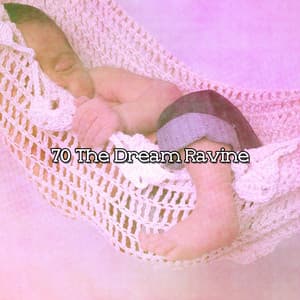 70 The Dream Ravine - Relax My Puppy