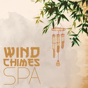 Wind Chimes Spa - Massage Spa Academy