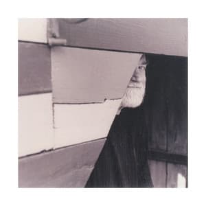 L’étang change - François Tusques