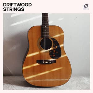 Driftwood Strings - Relaxing Jazz Guitar Academy