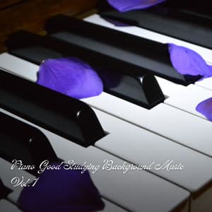 Piano Good Studying Background Music Vol. 1 - Classical Piano Playlist