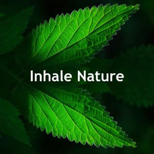 Inhale Nature - The Calm Factory