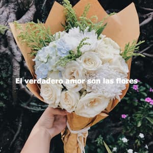 El verdadero amor son las flores - Arbeitsmusik