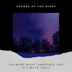 Calming Night Ambience for Ultimate Chill - Sounds of the Night