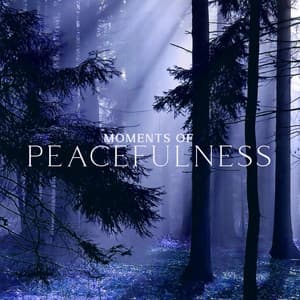 Moments of Peacefulness: Soothing Rain and Forest Sounds, Anxiety Relief - Celtic Spirituality