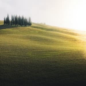 Soothing Relax Sough - Relaxing Sounds of Nature White Noise Waheguru