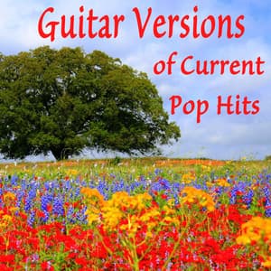 Guitar Versions of Current Pop Hits - Steve Petrunak
