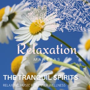 The Tranquil Spirits - Relaxing Music for Inner Wellness - Zen Healing Melodies