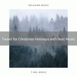 Tweet for Christmas Holidays with Best Music - Epic Soundscapes