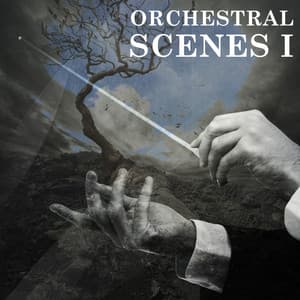 Orchestral Scenes, Vol. I - Moritz Bintig