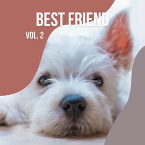 1 Best Friend Vol. 2 - Dogs Music Therapy