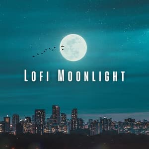 Lofi Moonlight: Dreamy Beats for Gentle Sleep - Music For Sleeping and Relaxation
