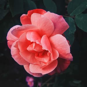 1 Chill: Taking It In - 16 Bit Serenity