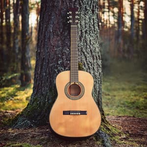 Zen De Guitarra: Armonía Para Yoga Y Rasgueos - Guitarra Sentimenta