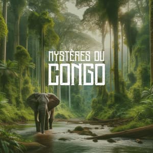Mystères du Congo: Méditation africaine avec de la musique tribale authentique - African Music Drums Collection