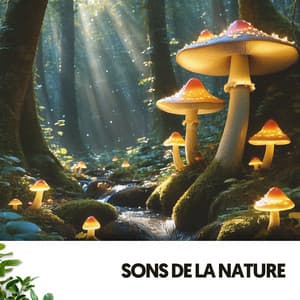 Sons de la Nature : Mélodies de la Forêt Enchantée - Dog Relaxation