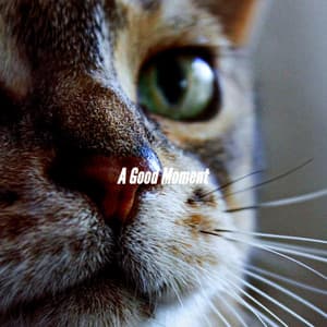 A Good Moment - Morgen Jazz Ambiente