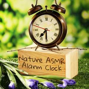 Nature ASMR Alarm Clock - Sound Effects Zone