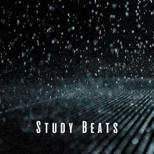 Study Beats: Concentrated Rain Symphony - thankful for the rain