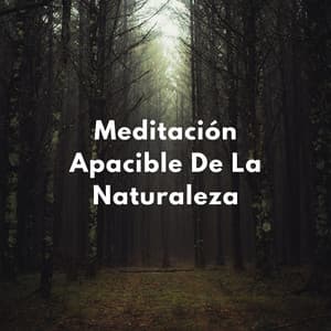 Atención Plena En La Montaña: Meditación Apacible De La Naturaleza - La naturaleza llama