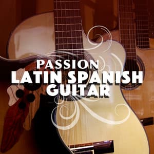 Passion: Latin Spanish Guitar - Latin Passion