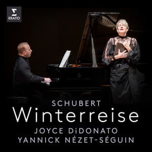 Schubert: Winterreise - Franz Schubert