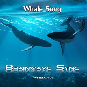Whale Song - with Music and Sounds of the Ocean - Alpha Brainwave Entrainment - Brainwave-Sync
