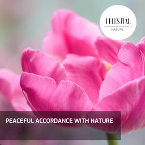 Peaceful Accordance With Nature - Nature Radiance