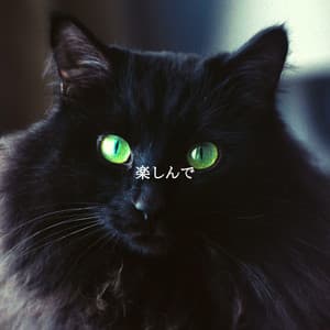 楽しんで - Slow Relaxing Jazz