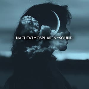 Nachtatmosphären-Sound - Schlafmusik Akademie