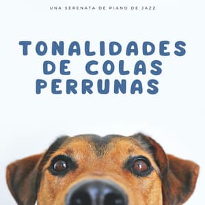 Tonalidades De Colas Perrunas: Una Serenata De Piano De Jazz - Maestros de la música de relajación para piano